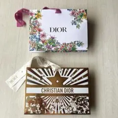 Dior ショッパーバッグ 紙袋 コスメ用 限定デザイン2枚セット