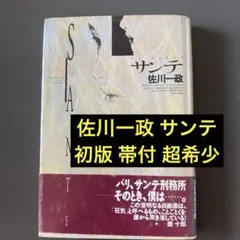 佐川一政　サンテ 希少　帯つき 2026年最新】佐川一政の人気アイテム - メルカリ
