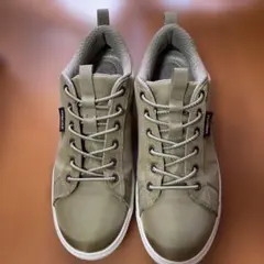 Item thumbnail for item 1f8da4cb-69cc-4c9d-bdfd-4ec9ae380c9c