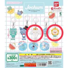 Jochum めじるしアクセサリー RURU、Bira