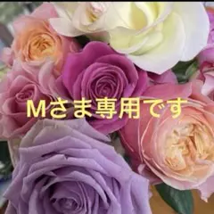 マル◎様 リクエスト 2点 まとめ商品