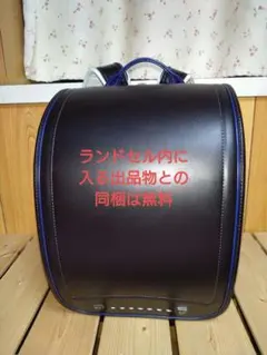 Item thumbnail for item 61eb5061-499d-4f36-9a56-ce3eedbd87dd