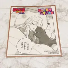 ジャンプフェスタ 2023 アニメイト ミニ色紙 カワイスギクライシス