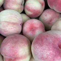 1:摘果桃 12kg - メルカリ