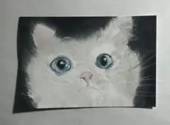 猫の水彩画 ハガキサイズ