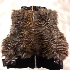 Item thumbnail for item b740252c-9779-46b1-973d-5e6d353d7c6b