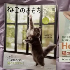 ねこのきもち　10月号