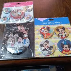 東京ディズニーリゾート 缶バッジ 3点セット
