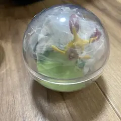 こびとづかん　ホトケアカバネ　カプリウムコレクション