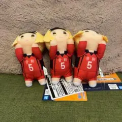 孤爪研磨 一番くじ ぬいぐるみ タグ付き ゴミ捨て場の決戦