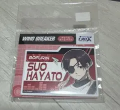 WIND BREAKER ウィンブレ 蘇枋 隼飛 アクリルネームバッジ バンド