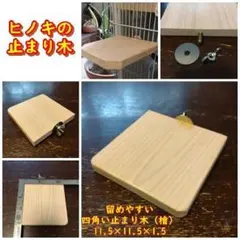 Item thumbnail for item 5d050321-e579-4d01-9827-d1dc253732e1