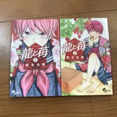 小学館 - 【全巻初版】龍と苺★1-20巻セット★柳本光晴龍と苺★全巻初版セットです 2025年最新】龍と苺 初版の人気アイテム - メルカリ