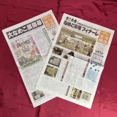 なめこ栽培キット 毎菌新聞 2019年7月号(2枚)&2021年10周年特別号