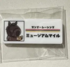 非売品　少年サンデー　バッジ 週間少年サンデー ウナギ マーク バッジ 昭和レトロ 非売品 ノベルティ