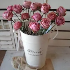 momotaro3  プロフ必読^ ^様 リクエスト 2点 まとめ商品