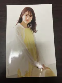 プレミアムシート（乃木坂46賀喜遥香）、クリアファイル（えなこ）