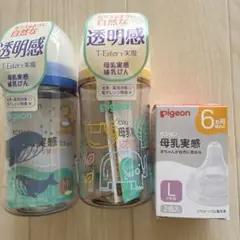 Item thumbnail for item 31ecfe24-3163-4960-8b18-448c77827d1b