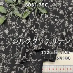 Item thumbnail for item 59f53d36-2612-49e0-babe-a2d1bf19947e