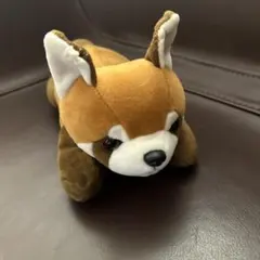 レッサーパンダ ぬいぐるみのサムネイル