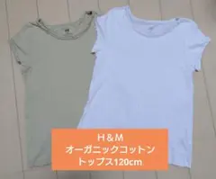 キッズ　Ｈ＆Ｍ　半袖トップス　2枚セット　120 cm