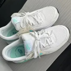 ナイキ エア マックス エクシー ホワイト/グリーン CD5432-127