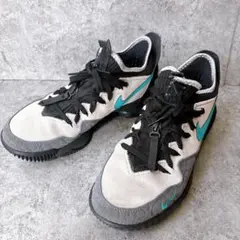 2026年最新】Lebron16の人気アイテム - メルカリ