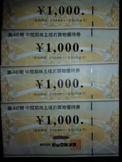 【最新/匿名配送】ビックカメラ　株主優待　4000円