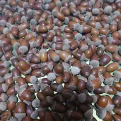 adfp様 リクエスト 3点 まとめ商品