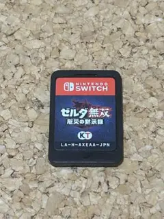 Nintendo Switch ゼルダ無双　厄災の黙示録