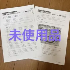 Item thumbnail for item a5027728-51e1-4492-93e1-1488782f6edc