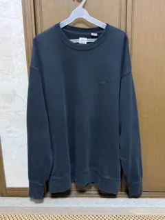 LACOSTE 長袖カットソー TH122MJ US S - メルカリ