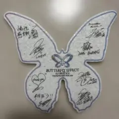 BUTTERFLY EFFECT 2025 fantastics 銀テ 蝶