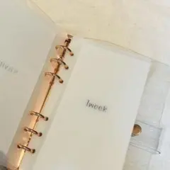 Item thumbnail for item 33d94317-3bda-425a-a298-8cc8ea32096d