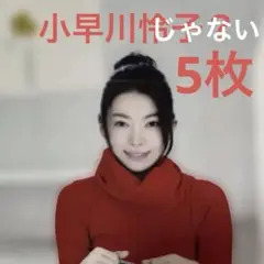 値下げ　セクシー女優　小早川怜子？生写真　5枚セット　モデル