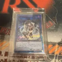 S：Pリトルナイト PSE PSA10 遊戯王 37-EY0803-10 - メルカリ