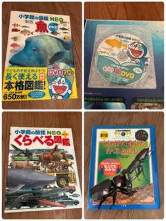 Item thumbnail for item 0280b920-c6ef-4201-b420-520cacbf71d0