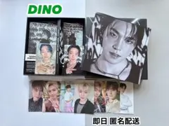 seventeen DAREDEVIL ディノ Happyburstday