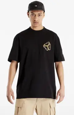 NORTHFACE - Tシャツ カラビナ グラフィック バックプリント