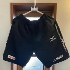 Item thumbnail for item 0bd17569-0df5-4cda-93f4-9d751a2e67c9