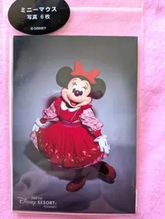 東京ディズニーリゾート 実写 写真　６枚セット ミニー