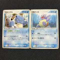 カメックス カメール 묶음 판매