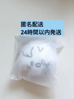 SKZOO FACE KEYRING ポガリ