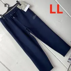 Item thumbnail for item 2a5a06a1-1791-451b-9445-2319d7a5873b