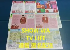 SHOW-WA TV LIFE 連載 5枚セット 匿名配送