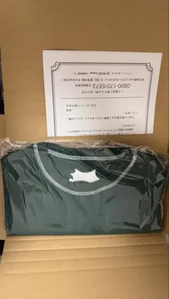新品未開封 非売品 スプライト ビッグシルエット Tシャツ グリーン