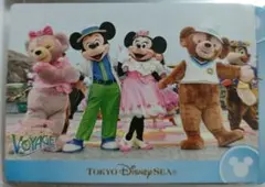 75★TDR ディズニー コレクションカード★スプボヤ ミキミニダフメイ　リド