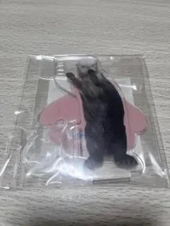 鳥羽水族館　ラッコのメイちゃんくじリターンズ！　フォトフレーム　ペンスタンド　他 カプくじ×鳥羽水族館 ラッコのメイちゃんくじ リターンズ！ | カプくじ