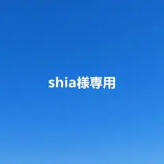 【shia様専用】ハンドストラップ　パラコード　２点