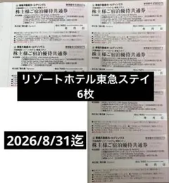 東急ステイ 東急不動産ホールディングスご宿泊優待共通券6枚